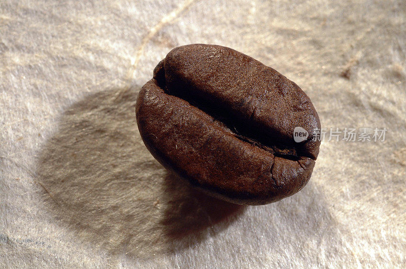 Roasted coffee bean close-up.